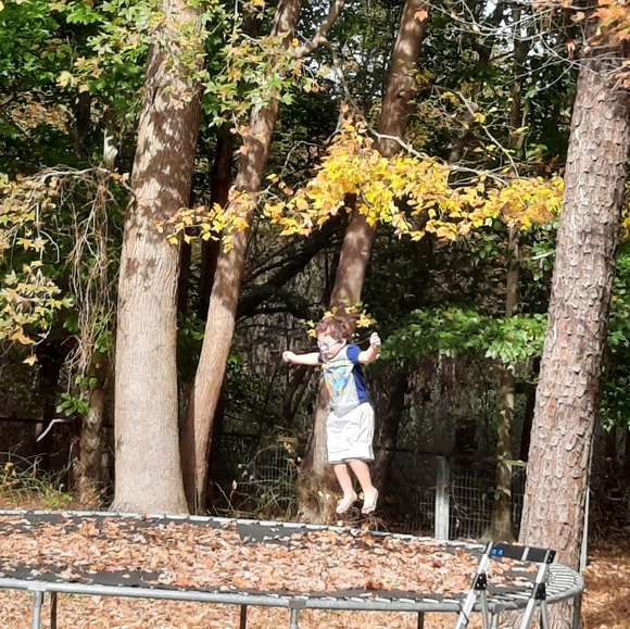 Meet your Posher, Vashti - Picture 13 of 16